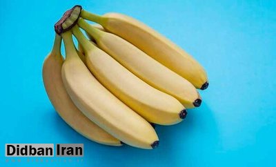 معمای عجیب قیمت موز در ایران