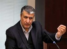 رئیس سازمان انرژی اتمی: مشکل غرب با شخص اسد نبود، به‌خاطر همراهی او با انقلاب اسلامی بود