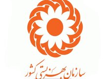 افزایش ۳۵ درصدی کمک‌های مردمی به سازمان بهزیستی کشور