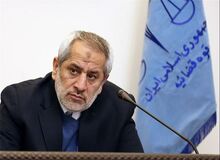 دادستان تهران: دادستانی به موضوع مزاحمت حیوانات خانگی ورود می کند


