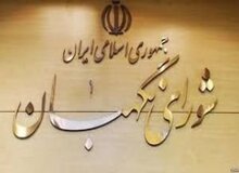 شورای نگهبان لایحه «حمایت از کودکان و نوجوانان» را تایید نکرد

