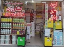 به کما رفتن دو کودک بر اثر استفاده از سم کشاورزی
