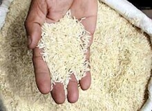 کمبود برنج قویا تکذیب می‌شود