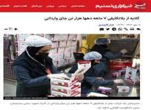 رپرتاژ خبرگزاری تسنیم برای مدیر عامل چای دبش!