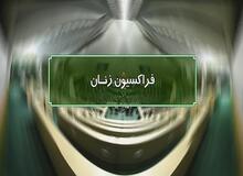 فراکسیون زنان مجلس: اظهارات «بانکی پور» درباره ازدواج زنان را از طریق هیأت نظارت بر رفتار نمایندگان پیگیری می‌کنیم/ غیرت جنسیت نمی‌شناسد/  منتظر عذرخواهی این نماینده هستیم