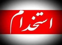  ۱۰۰ هزار نفر در سال؛ توان استخدامی دولت 