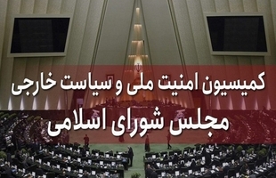 تصویب موادی از طرح تنگه هرمز مربوط به دریافت غرامت در کمیسیون امنیت ملی مجلس
