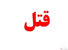 "الهه جون" اسم مستعار پسرخاله ام بود که با همسرم رابطه داشت/ با سرنگ به او سیانور تزریق کردم
