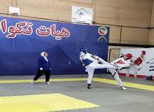 ۲ طلا و ۵ برنز دستاورد تیم تکواندو قم در اراک