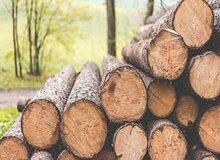 کشف ۱۸ تن چوب قاچاق در بروجرد

