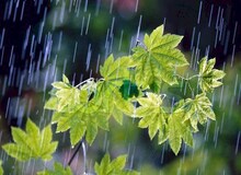 بارندگی و وزش باد شدید در مناطق زلزله زده از روز یکشنبه آغاز می شود