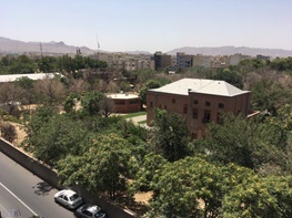 درختان عمارت «بزرگ آقا» شبانه قلع و قمع می شوند/ سرنوشت ثابت پاسال در انتظار خانه وثوق الدوله