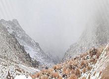زمستان به عربستان رسید/ بخش‌هایی از شبه جزیره سفیدپوش شد