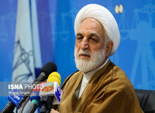 محسنی اژه ای:  مدیرعامل شستا احضار و مدیرکل سازمان توسعه تجارت  و معاونش بازداشت شدند