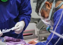 ۲۶۸ هموطن دیگر بر اثر ابتلا به کرونا جان باختند
