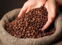 قیمت جهانی قهوه یک رکورد جهانی زده است/ از سال ۱۹۷۷، چنین افزایشی نداشتیم 