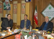 تهرانی: وزیر ورزش هرچه زودتر مدیران سفارشی و رفوزه را کنار بگذارد
