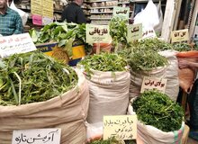 سودجویی با گیاهان کمیاب کوهستان‌های تهران / فروش سبزی‌های کوهی به قیمت گزاف در بازار تجریش