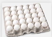 قیمت جدید تخم‌مرغ اعلام شد/ هر کیلو تخم‌مرغ برای مصرف‌کننده چقدر مصوب شد؟