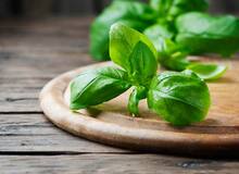 ۱۲ خاصیت بی نظیر ریحان/ برگ ریحان از ابتلا به آلزایمر و سکته قلبی جلوگیری می کند