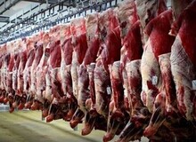 قیمت جدید دام زنده اعلام شد/ پوریان: منتظر این تغییر مهم قیمتی در بازار گوشت باشید