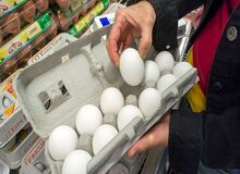 قول های وزیر صمت تو زرد از آب درآمد/تخم مرغ به شانه ای ۴۸ هزار تومان پرکشید!