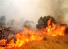 آتش‌سوزی تانکر سوخت در تبریز + عکس