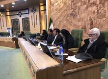 برگزاری اولین جلسه کارگروه تخصصی تشکلهای مردم نهاد مدیریت بحران کشور/ وظیفه کارگروه ایجاد بستر لازم برای مشارکت سمن ها در حل بحران