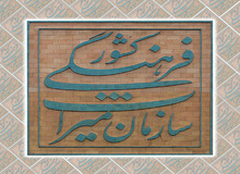  "زهرا احمدی پور" و راهی که در این پنج ماه رفت