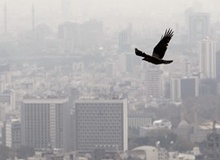 مرگ سالانه بیش از ۷ میلیون نفر در جهان به علت آلودگی هوا