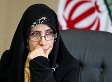 امین‌زاده: نقد مشفقانه دولت جنبه پیشگیری دارد نه مچ‌گیری