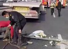 دلیل سقوط ۵ تیر چراغ برق در بزرگراه آزادگان فاش شد / سرقت پیچها علت سقوط تیرها