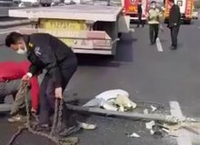 دلیل سقوط ۵ تیر چراغ برق در بزرگراه آزادگان فاش شد / سرقت پیچها علت سقوط تیرها