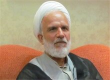 آیت‌الله محمدی عراقی: احتمال جلب موافقت و نظر اعضا در مورد پالرمو نسبت به  CFT خیلی کمتر است
