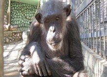 حال «پرویز» خوب نیست