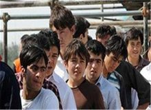 130 هزار نفر از مهاجران افغانی در ایران تحت پوشش کامل بیمه‌اند!