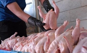 زنگ خطر در بازار مرغ / قیمت جدید گوشت مرغ گرم اعلام شد