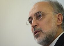 علی اکبر صالحی: مسائل داخلی روی عملکرد و رویکرد خارجی ما انعکاس دارد