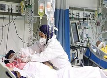 متخصص بیماری‌های عفونی: چوب آموزش حضوری را خواهیم خورد؛ اوج پیک ششم تا دو هفته دیگر