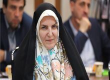 طرح موضوع چندهمسری موجب می‌شود کشمکش‌های سیاسی به کشمکش‌های خانوادگی تبدیل شود