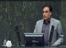 نماینده مجلس: میزان برداشت گندم در منطقه ما نسبت به سال های قبل به کمتر از نصف کاهش پیدا کرده است