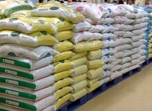 گیلان تامین کننده قوت کشور است، اگر برنج وارد نکنیم