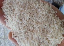 انتقاد نماینده لنگرود از منتقدان گرانی برنج/ محمدنژاد: چرا داد کسی برای پراید ۱۵۰ میلیونی در نیامد؟