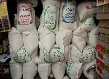 رئیس اتحادیه برنج فروشان بابل خبر داد؛ افزایش ۱۳۰ درصدی قیمت برنج در هشت ماه اخیر