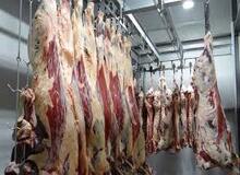 شناسایی۱۶ بیمار مشکوک به تب کریمه کنگو در خراسان رضوی