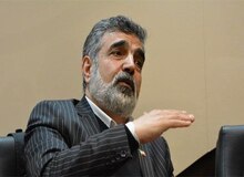 سخنگوی سازمان انرژی اتمی دچار حادثه شد/ مچ پا و سر وی دچار شکستگی شده است