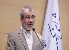 کدخدایی: شورای نگهبان تابع فشار نیست
