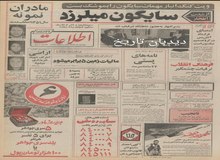 ۲۵۰ هزار متر مربع اراضی غرب تهران جنگل کاری می شود