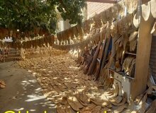 کشف نان قاچاق در بجنورد!