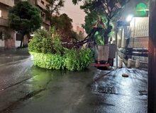 اورژانس: از هفتم تا پانزدهم اردیبهشت، ۸۶ نفر در اثر وزش شدید باد و رعد و برق دچار مصدومیت شده‌اند؛ از این تعداد ۹ نفر فوت کرده‌اند